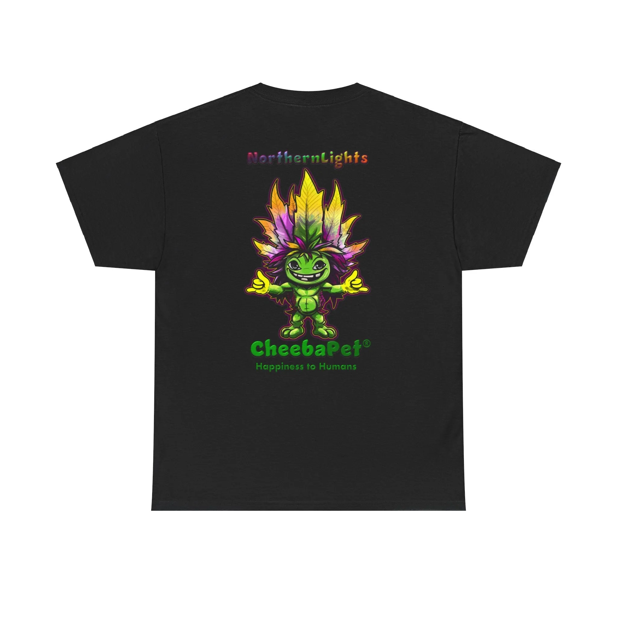 Express T NorthernLights