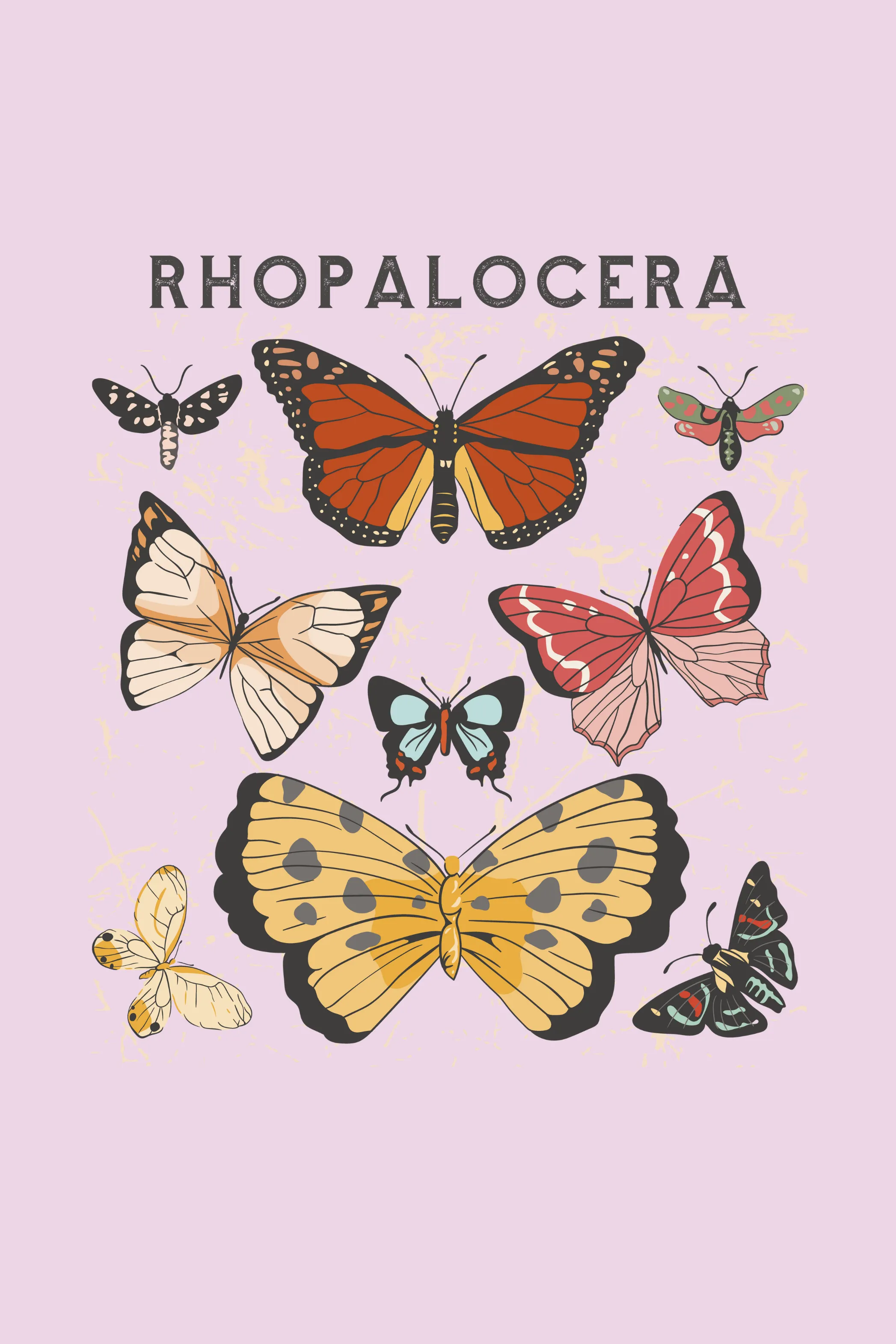 Rhopalocera Printed T-shirt for women